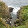 Sea Lion Rocks
