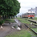 Kočani