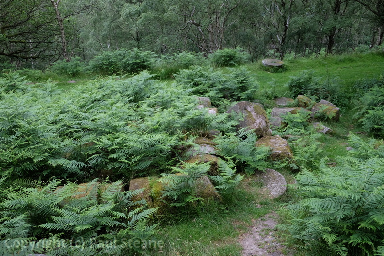 Mill stones quarry
