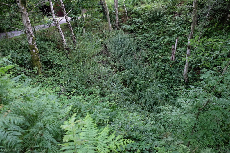 Bole Hill Quarry incline