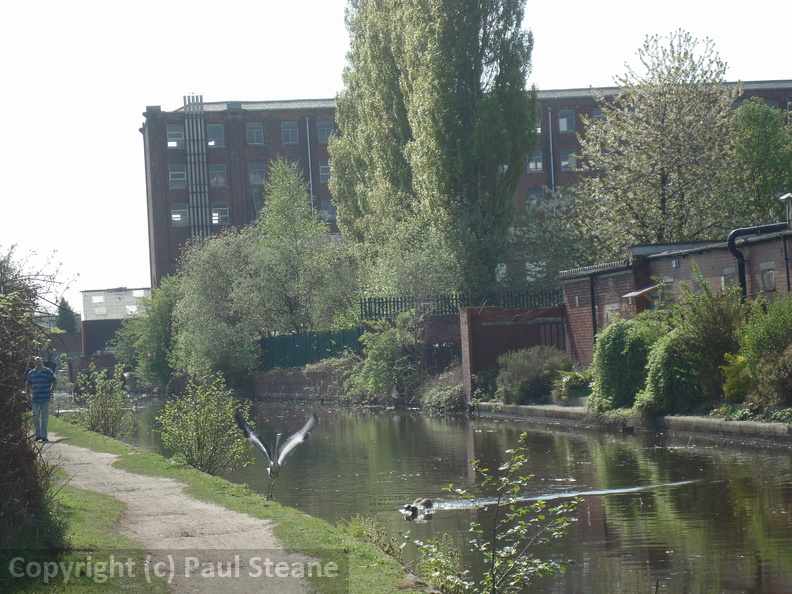 Ashton Canal