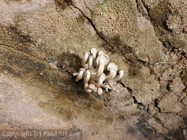 Museum Industriekultur Osnabrück