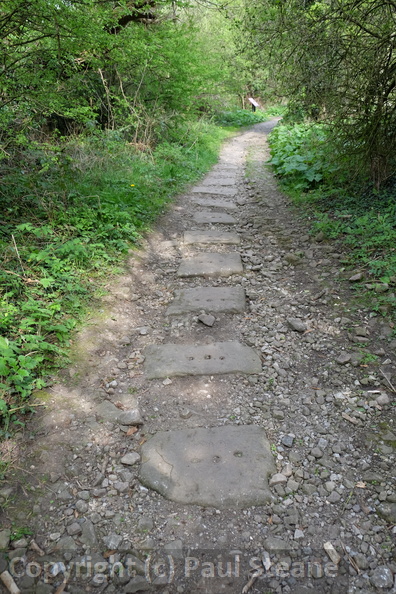DSCF2333.JPG