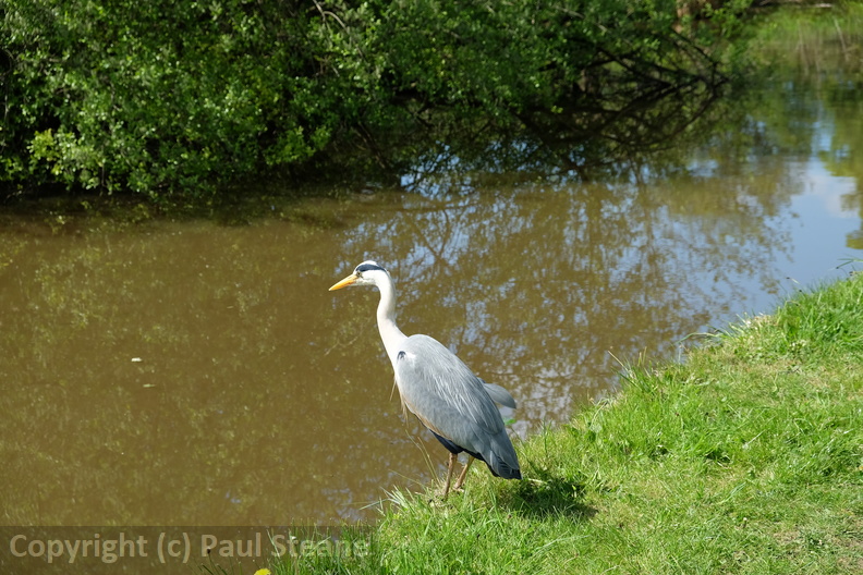 Peak Forest Canal