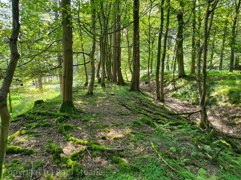  Bamford and Howden Railway