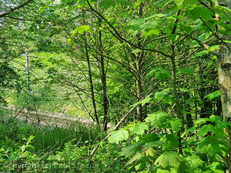 Culcheth Linear Park