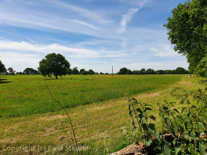 Culcheth Linear Park
