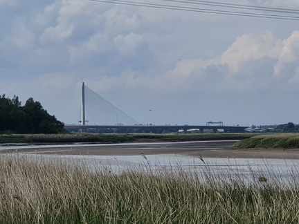 Mersey Gateway bridge