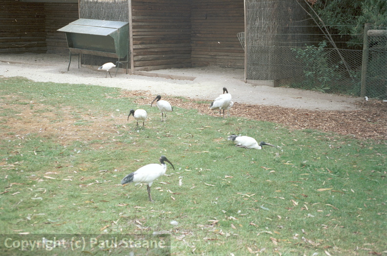 Healesville Sanctuary