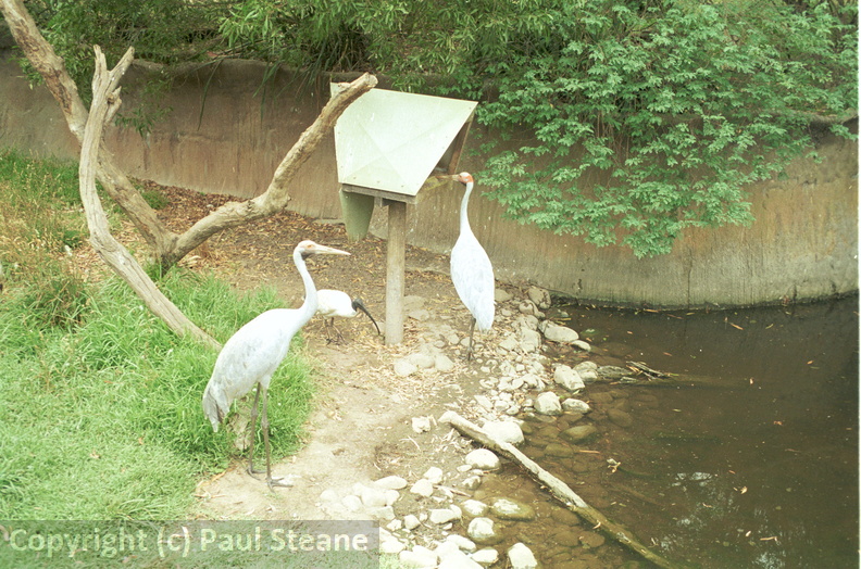 Healesville Sanctuary