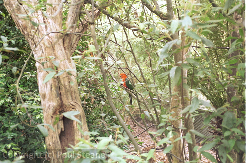 Healesville Sanctuary