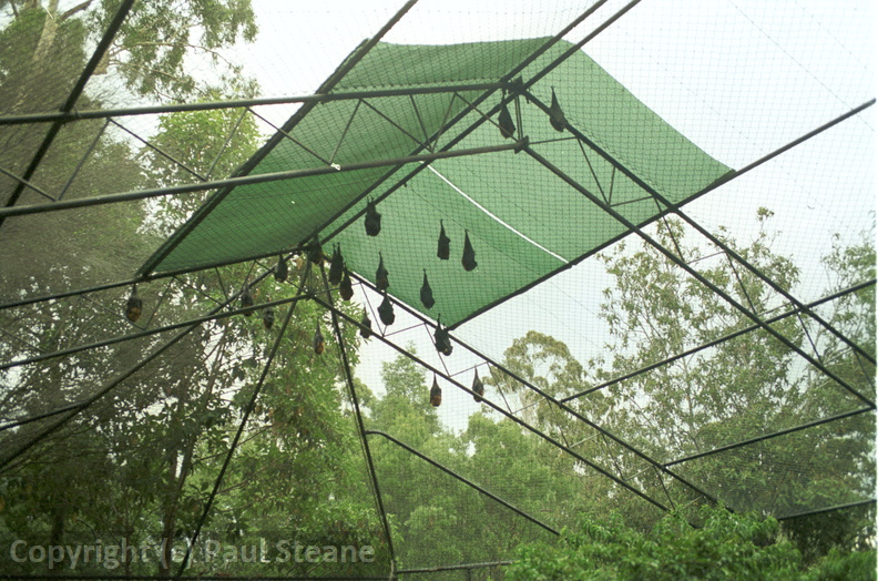 Healesville Sanctuary