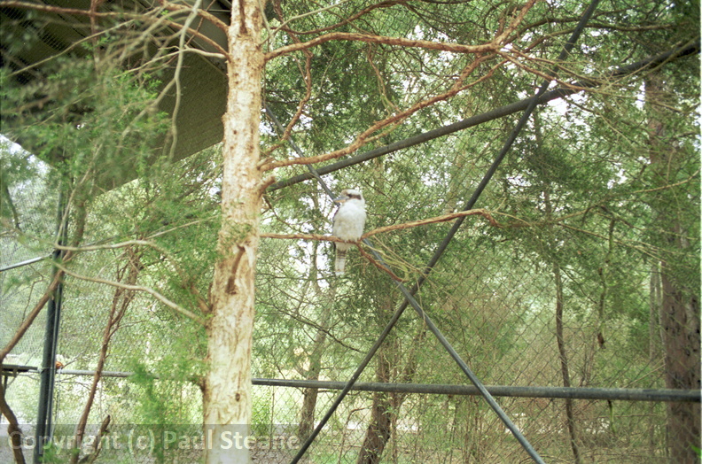 Healesville Sanctuary