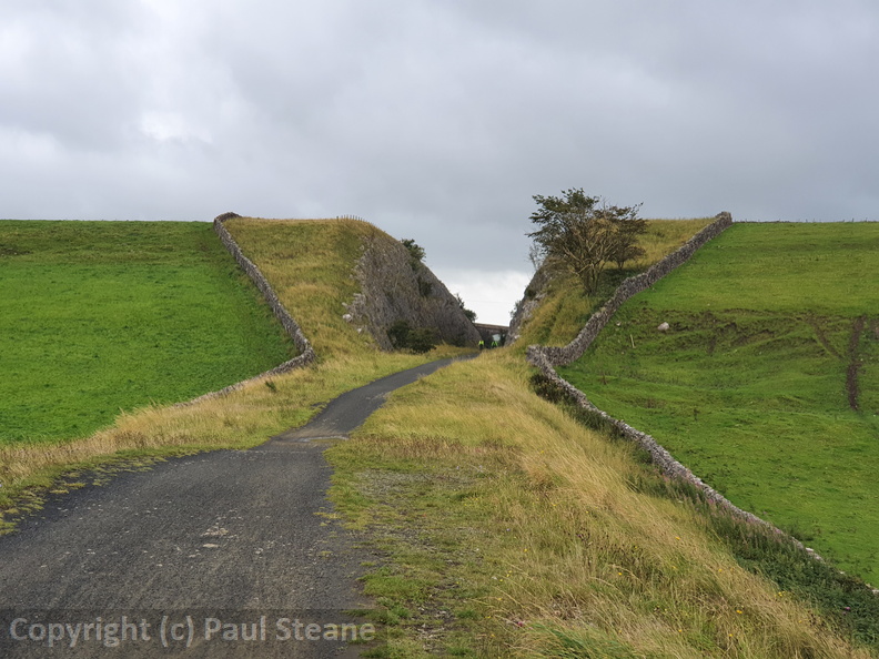 Parsley Hay cutting