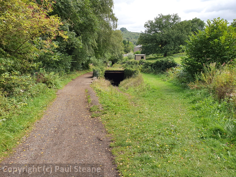 Sheep Pasture incline