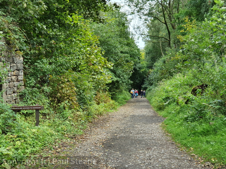 Sheep Pasture incline