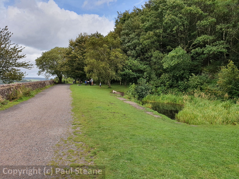 Sheep Pasture incline
