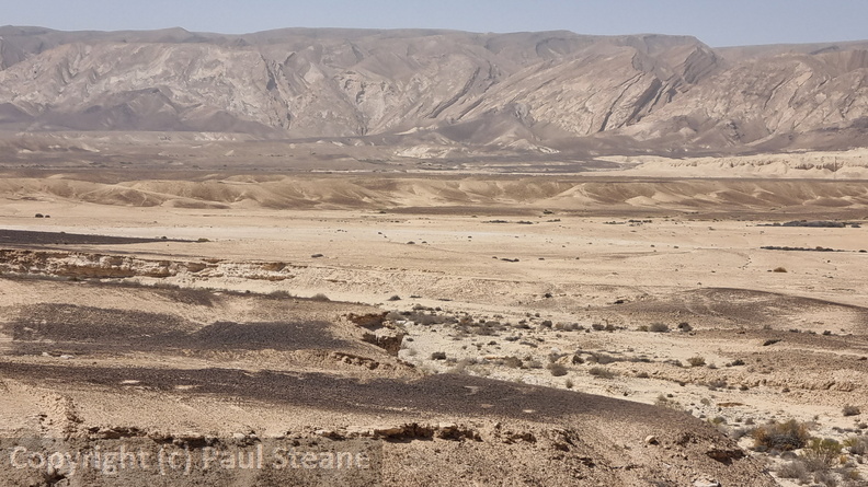 Negev Desert