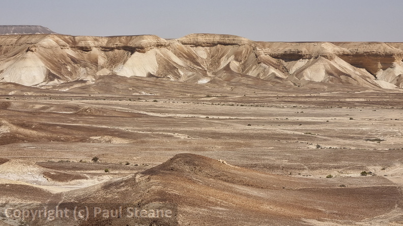 Negev Desert