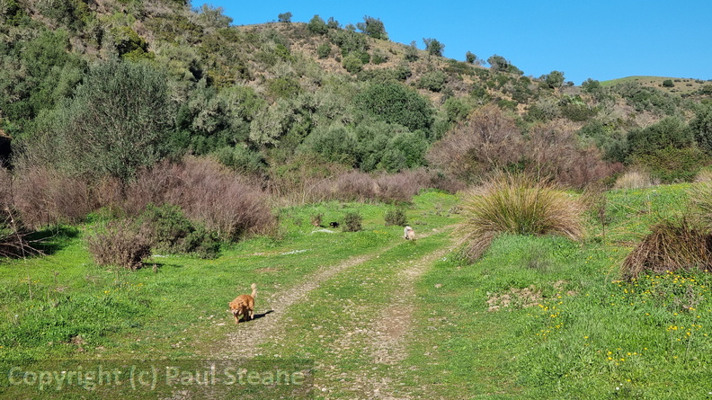 Rivera Grande de la Golondrina