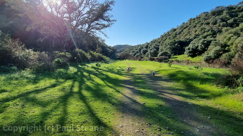 Rivera Grande de la Golondrina
