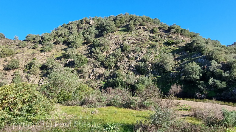 Rivera Grande de la Golondrina