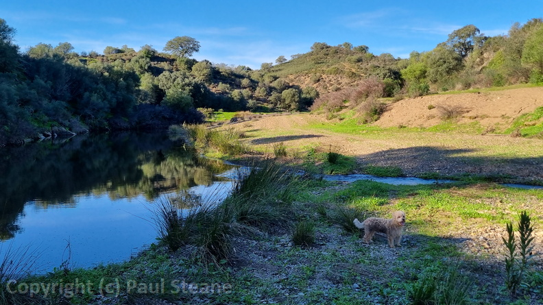 Rivera Grande de la Golondrina