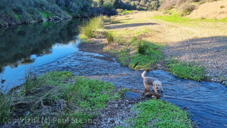 Rivera Grande de la Golondrina