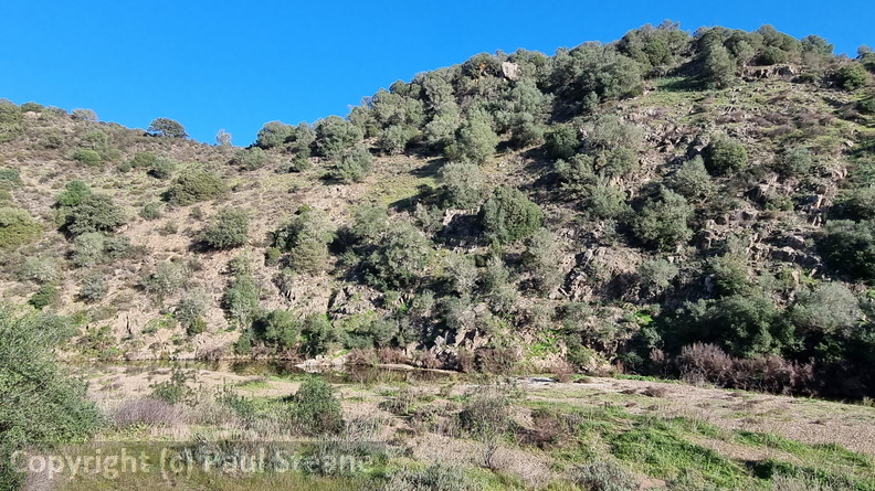 Rivera Grande de la Golondrina