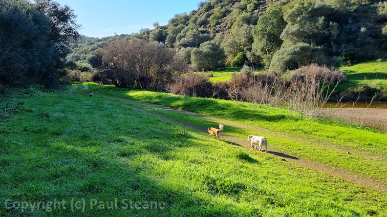 Rivera Grande de la Golondrina