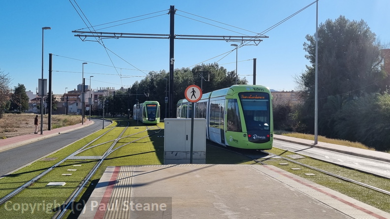 Los Rectores-Terra Natura 