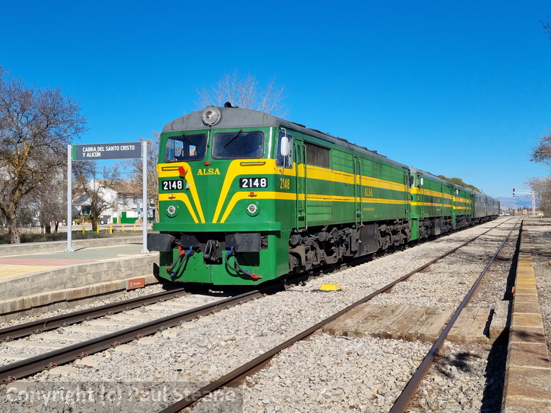 Cabra del Santo Cristo y Alicun