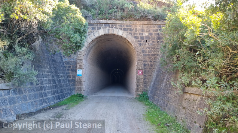 Esqueleto Tunnel