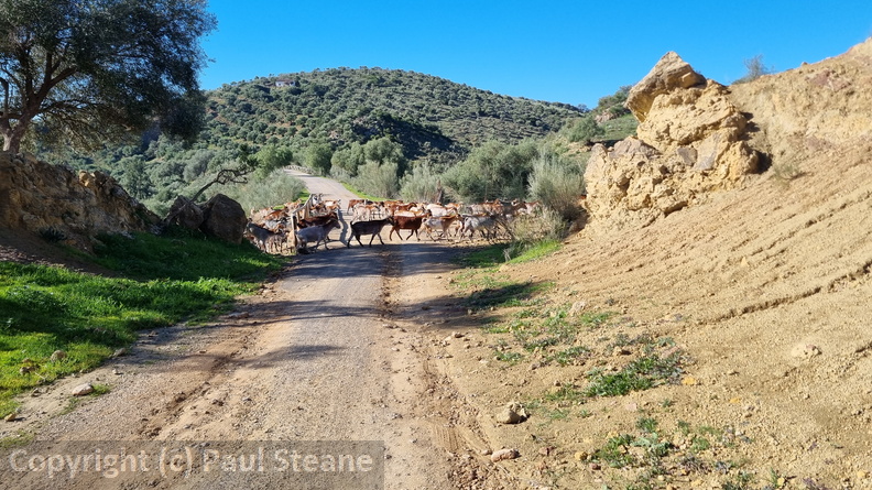 Vía Verde de la Sierra