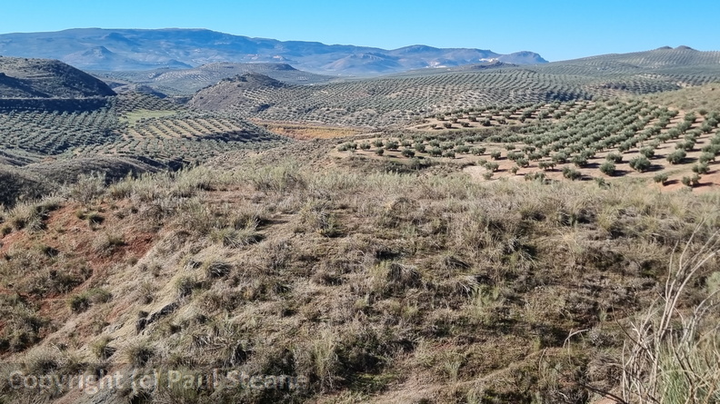 Vía Verde del Aceite