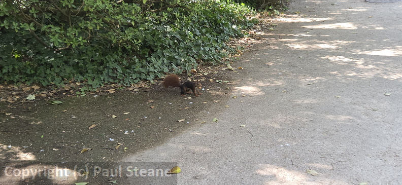 Valladolid - Parque Campo Grande