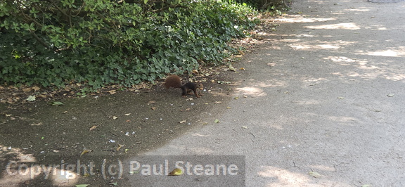 Valladolid - Parque Campo Grande