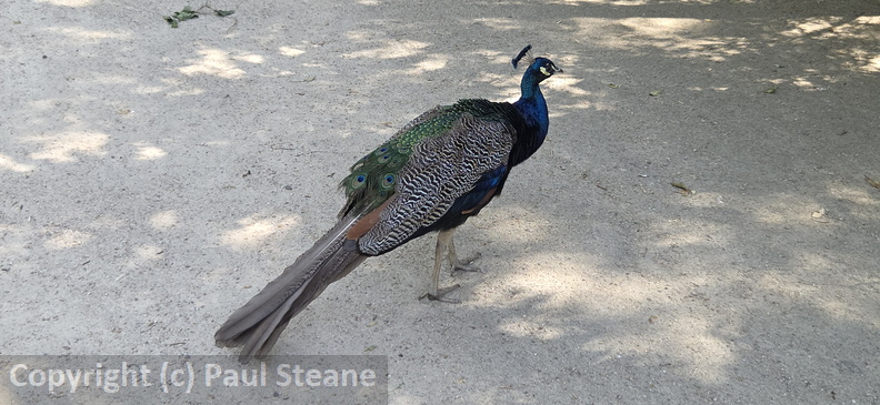 Valladolid - Parque Campo Grande