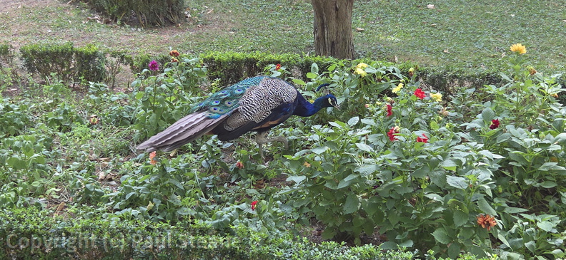Valladolid - Parque Campo Grande